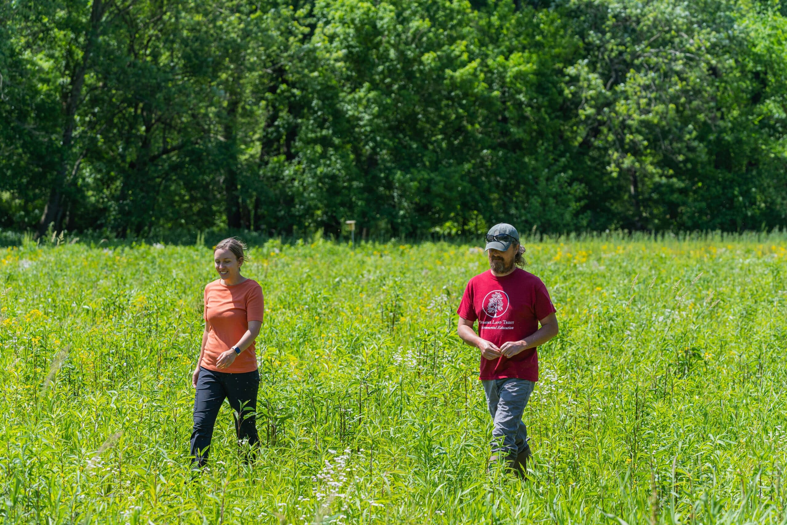 Technical Assistance