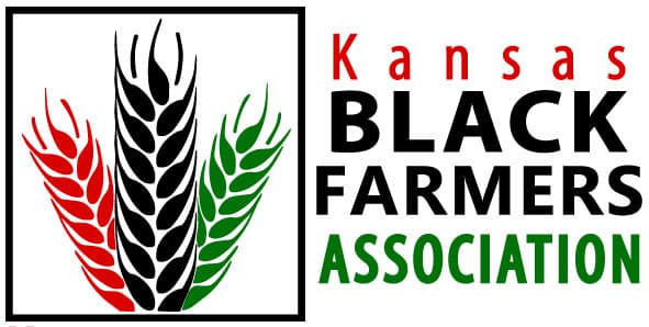 kbfa-logo-h