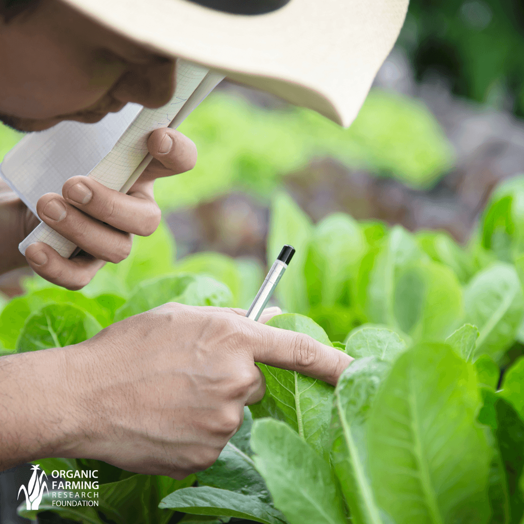 Farmer-Led, On-Farm Research Trials