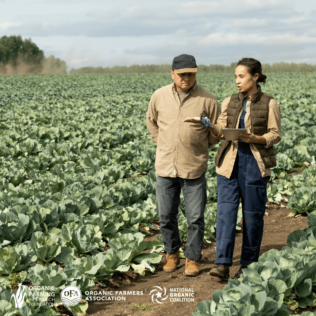 Virtual Farmer-to-Farmer Networking