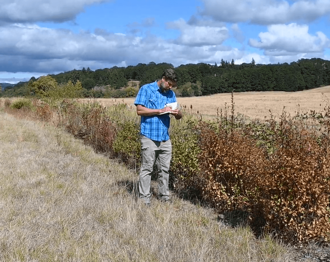 Screenshot 2025-02-24 093236