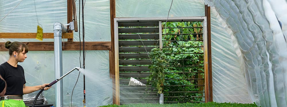 52302465527_fa9f4c28c4_o