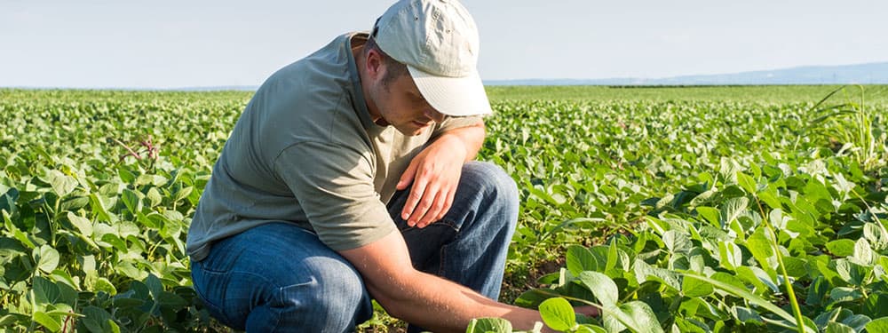 Depositphotos_79472762_s-2019