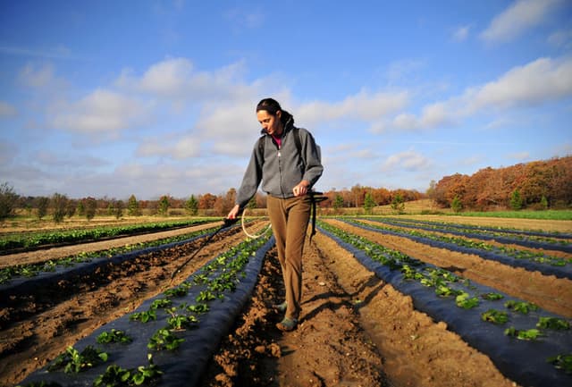 Organic Inputs and Materials