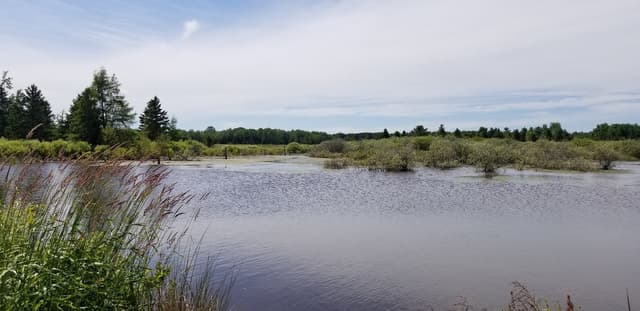 Biodiversity and Conservation