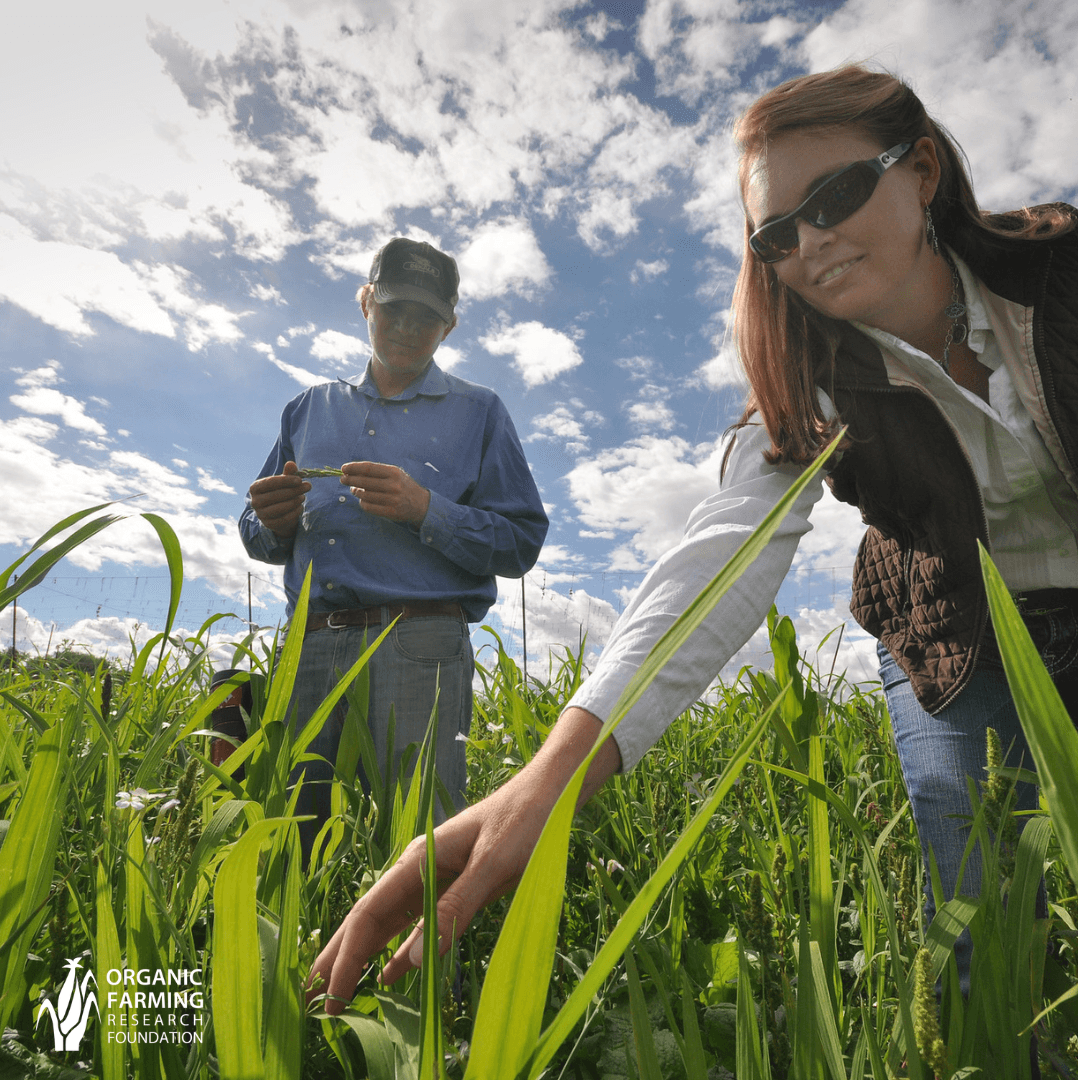 Organic Research Hub